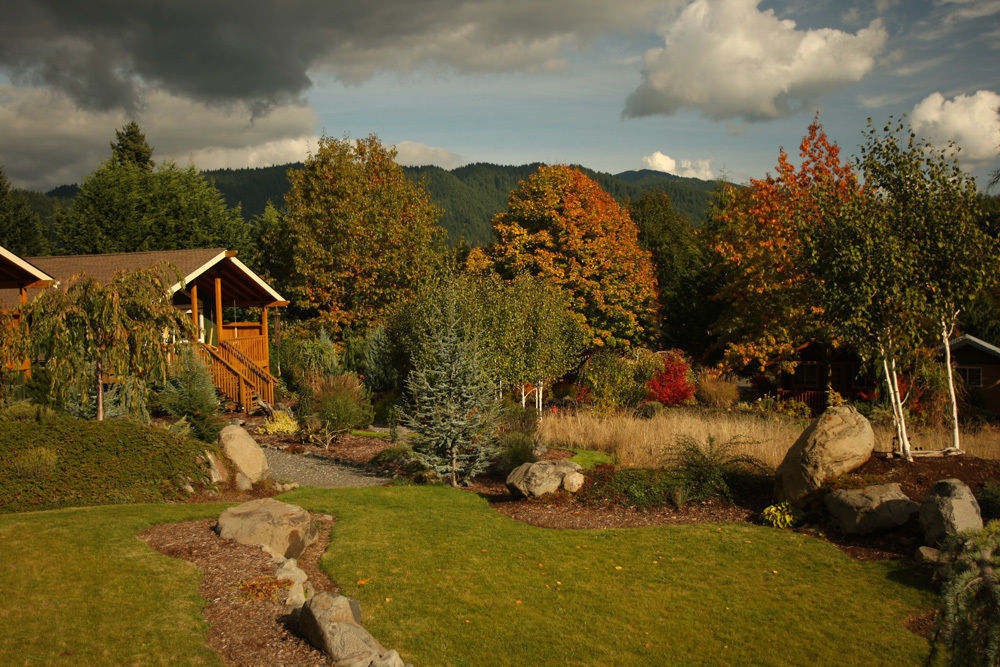 Carson Ridge Luxury Cabins Bed & Breakfast Exterior photo